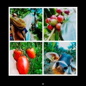 Meet your Posher, José